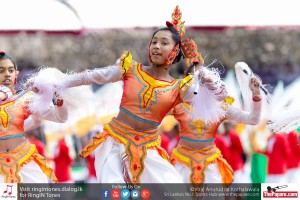 12068569_10154299767769251_5218070706224332272_o